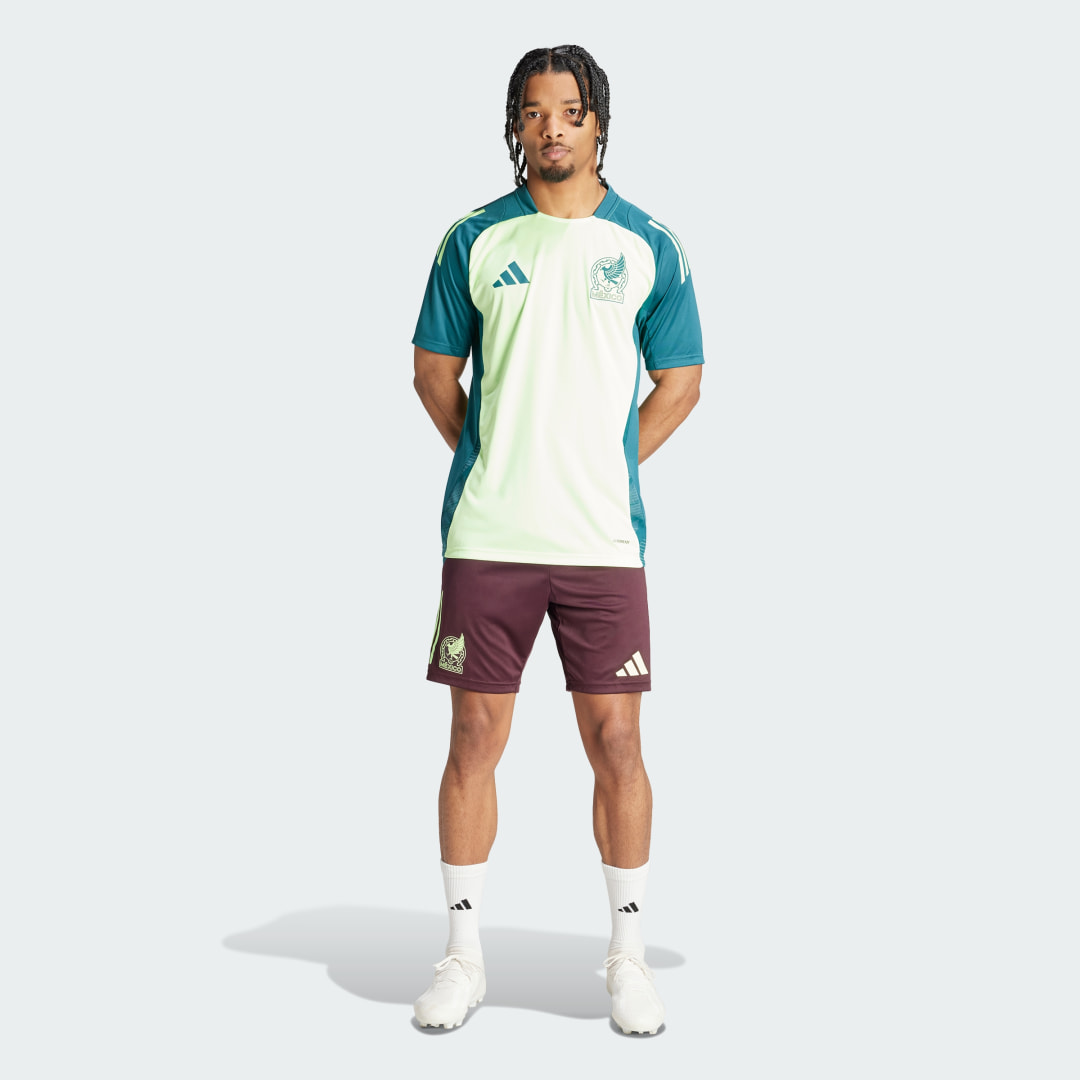 adidas Shorts de Entrenamiento Tiro 24 Competition Selección Nacional de México Hombre, Dark burgundy/verde spark
adidas Shorts de Entrenamiento Tiro 24 Competition Selección Nacional de México Hombre, Dark burgundy/verde spark