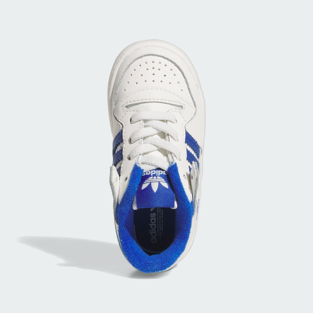 adidas Tenis Forum Low CL Cordones Elásticos Niños, Core blanco/royal azul/core blanco
adidas Tenis Forum Low CL Cordones Elásticos Niños, Core blanco/royal azul/core blanco