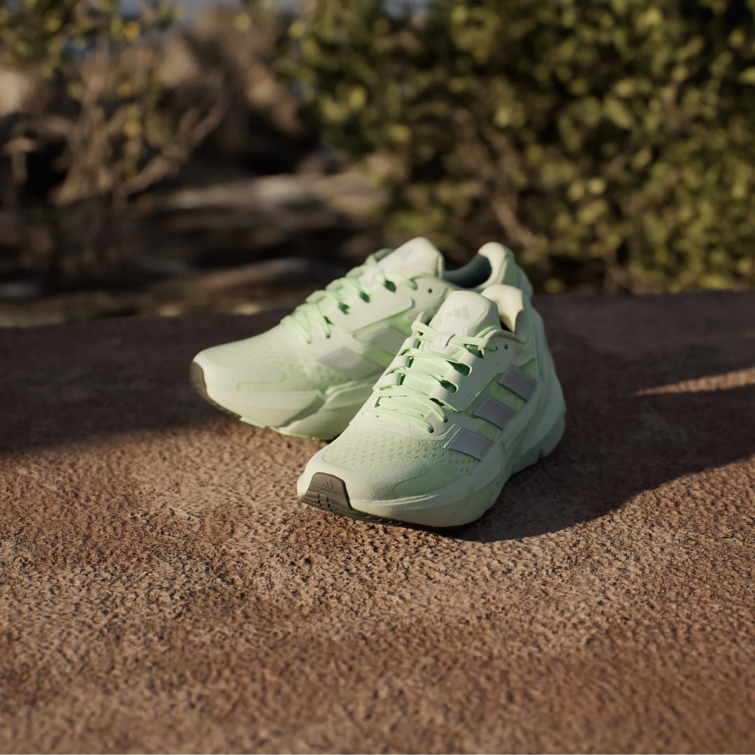 adidas Tenis Adistar 2.0 Mujer, Semi verde spark/linen verde met./linen verde
adidas Tenis Adistar 2.0 Mujer, Semi verde spark/linen verde met./linen verde