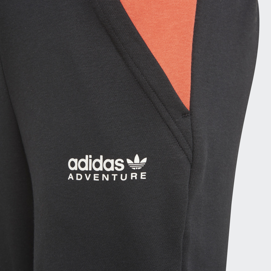 фото Брюки adidas adventure