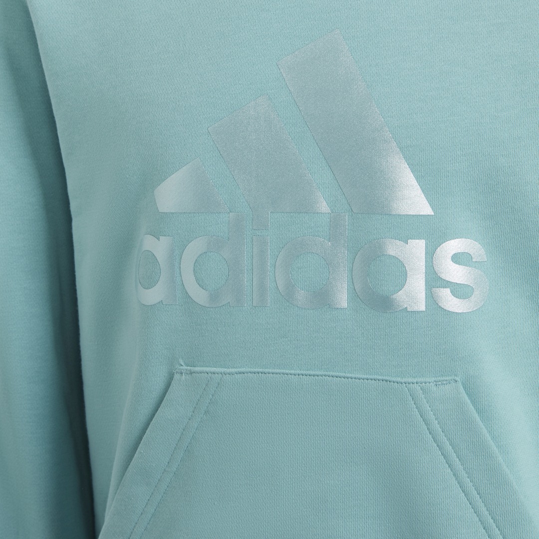 фото Худи future icons logo adidas performance
