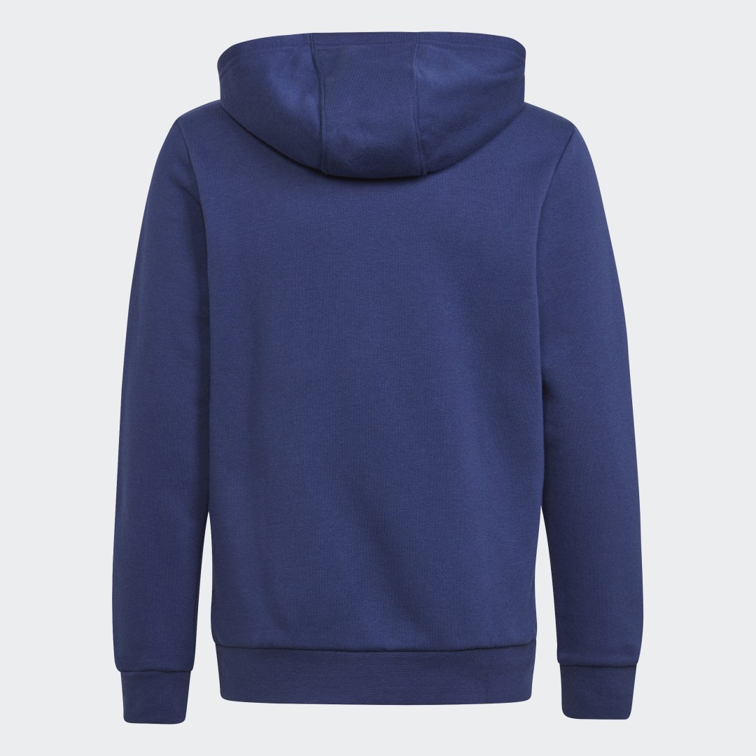 фото Худи adicolor adidas originals