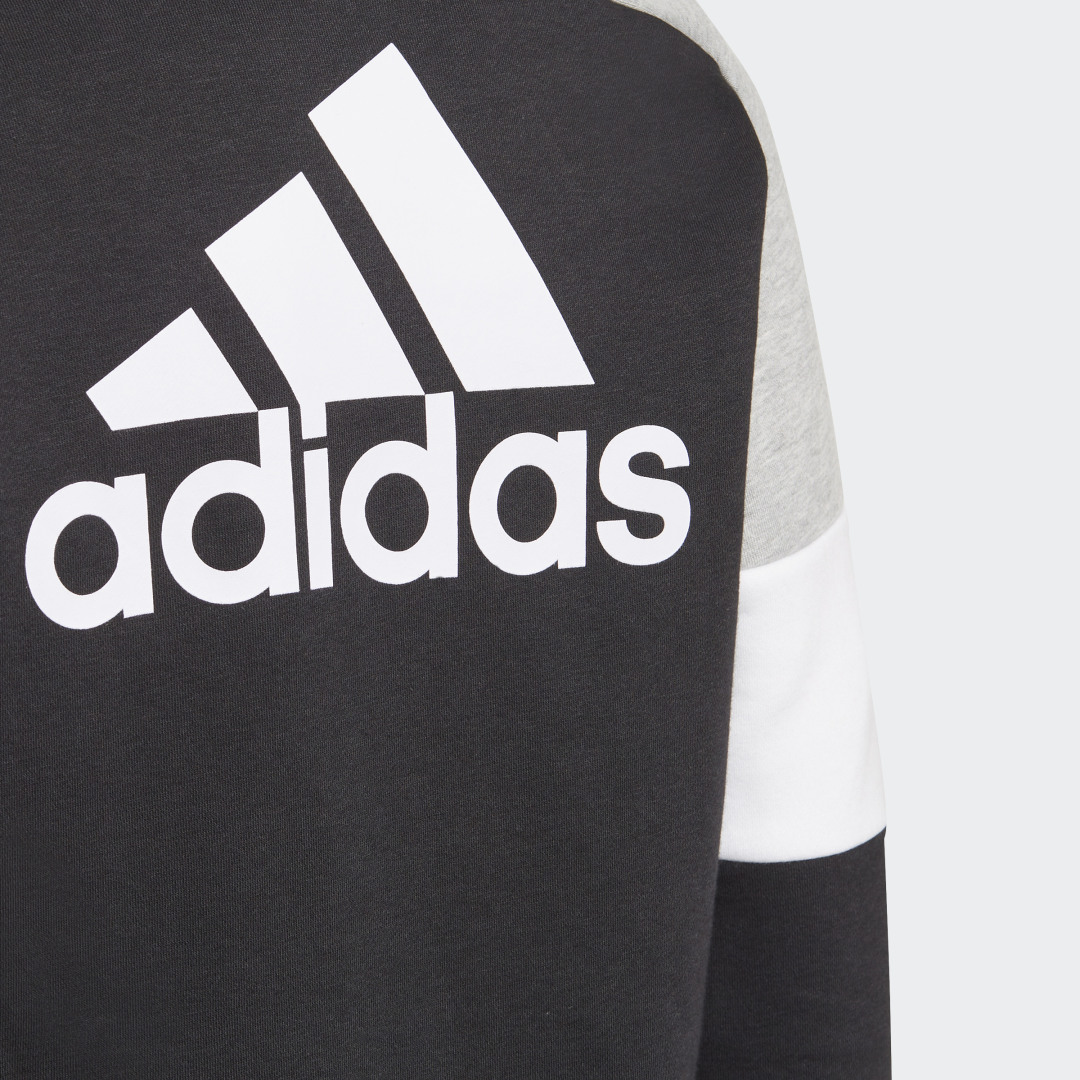 фото Толстовка adidas colorblock