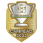 Campeão da Copa do Brasil 2022