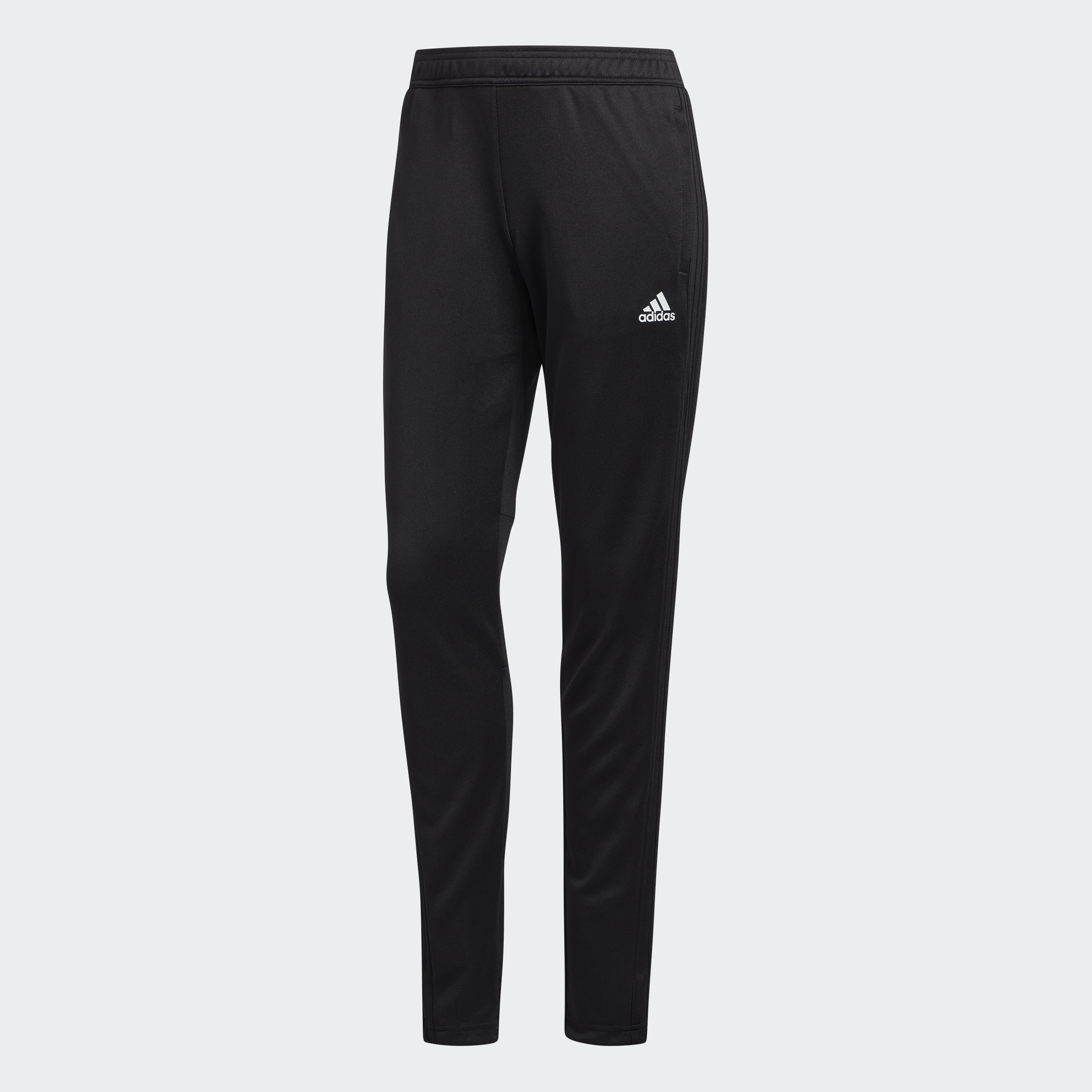 condivo training pants