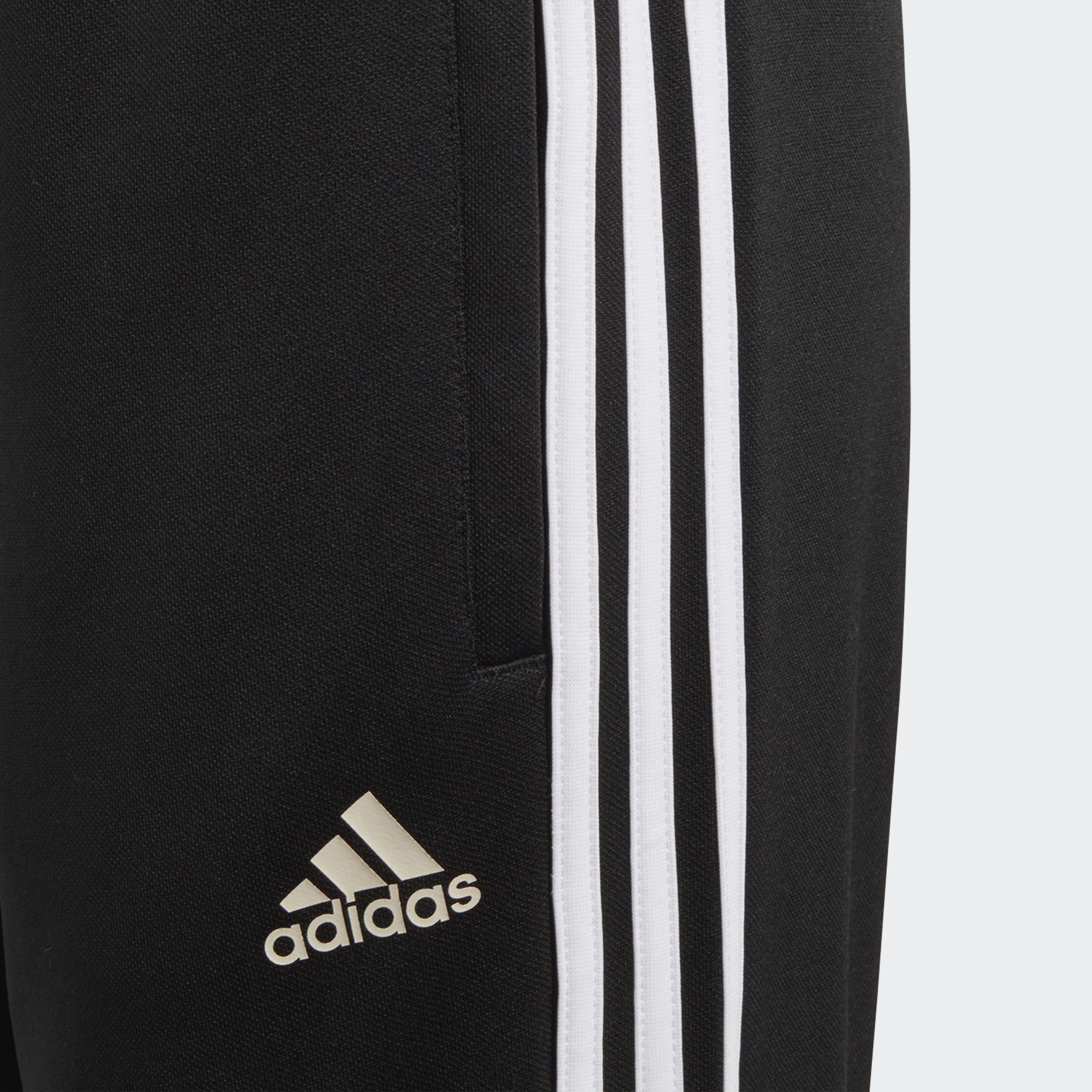 adidas tango training pants black