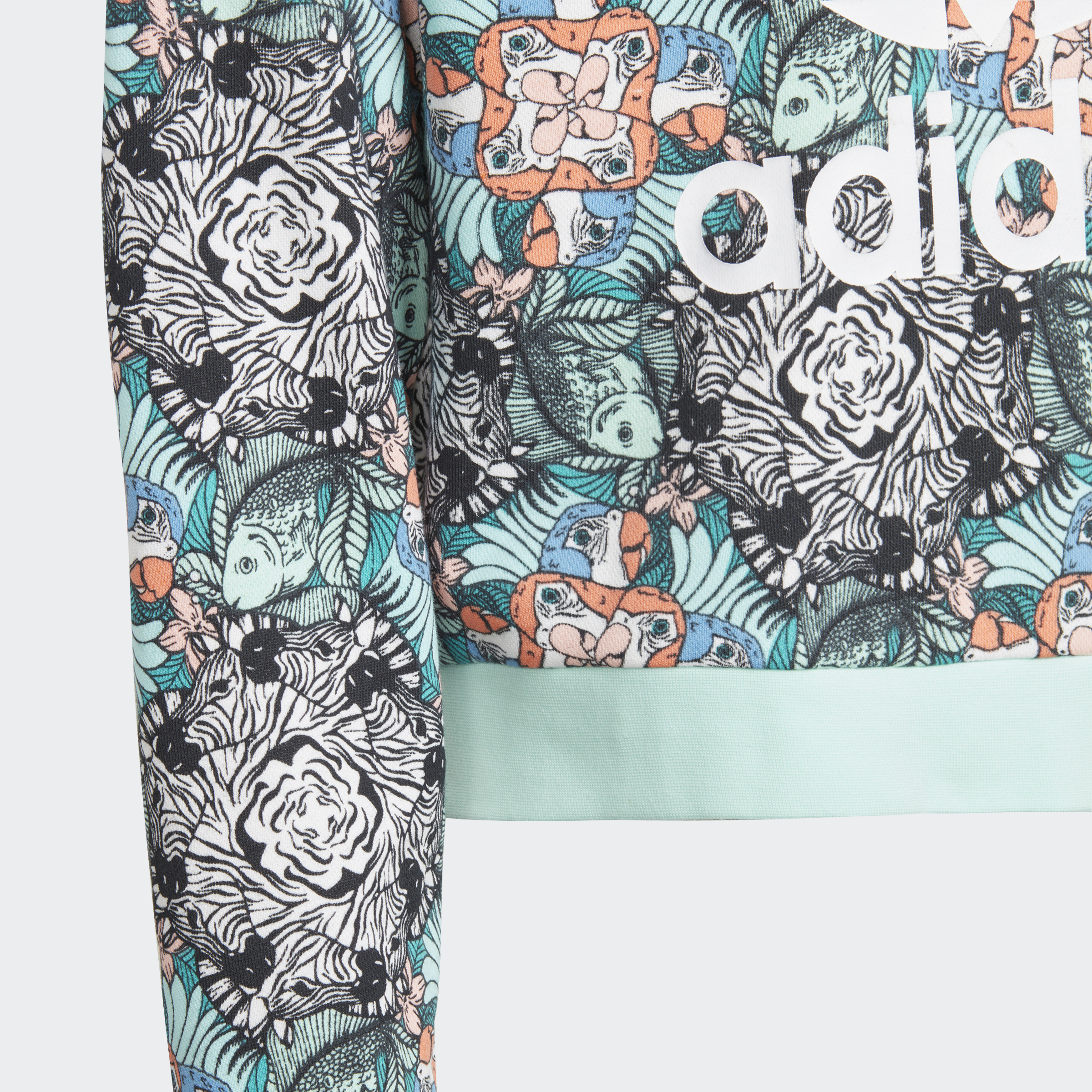 adidas zoo shorts