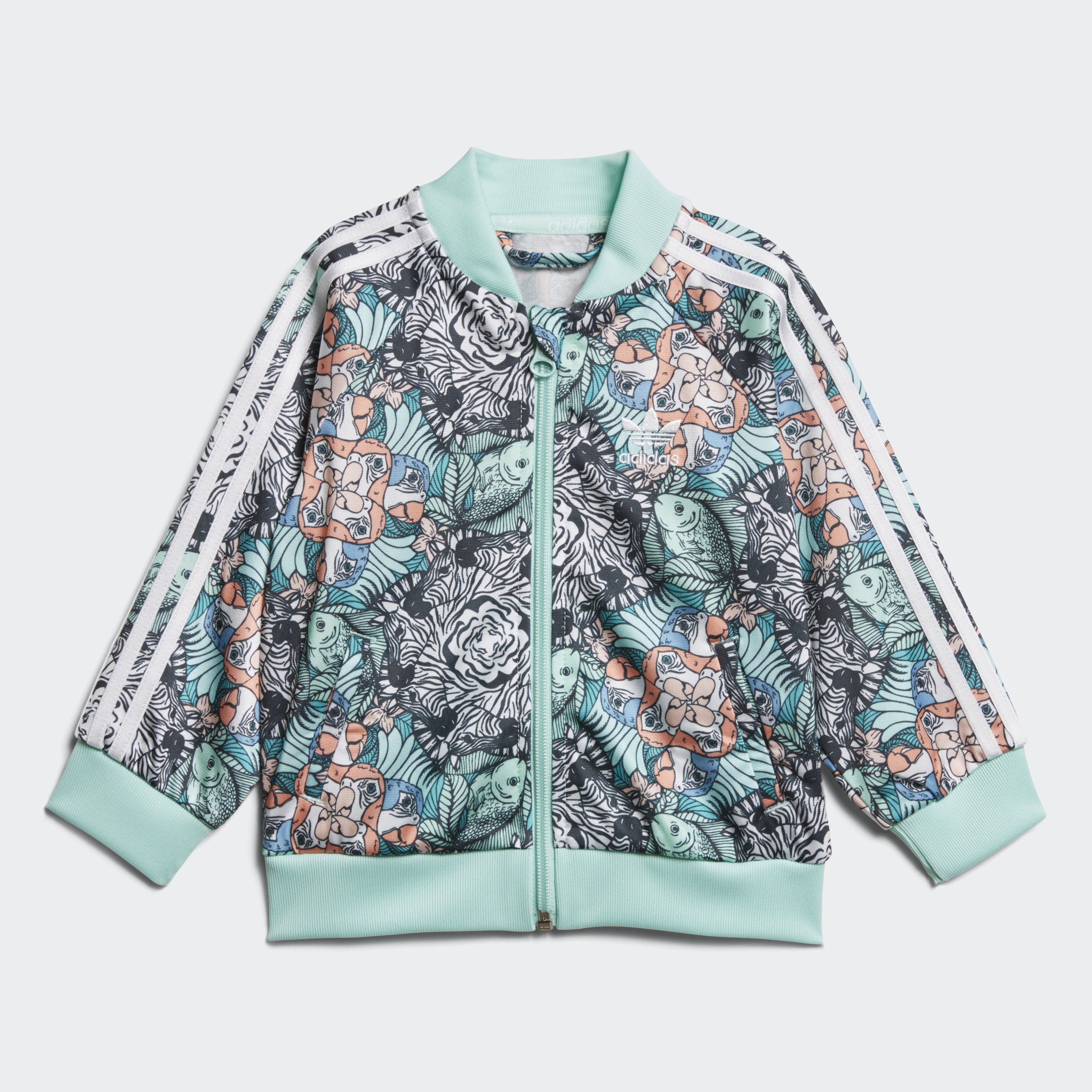 zoo sst track suit