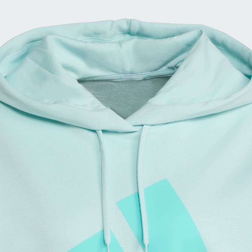 Turquesa Buzo con Capucha Essentials Big Logo Felpa Francesa Holgado