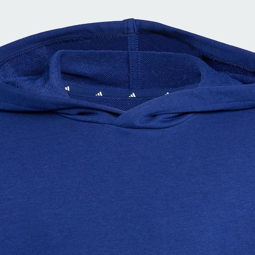 Azul Sudadera con Gorro Essentials Niños