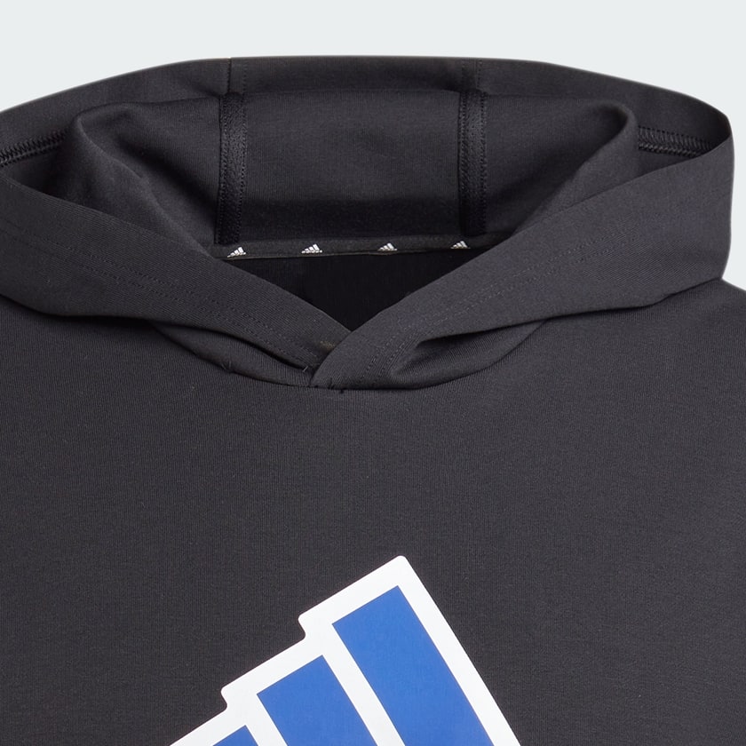 Black Future Icons Badge of Sport Hoodie
