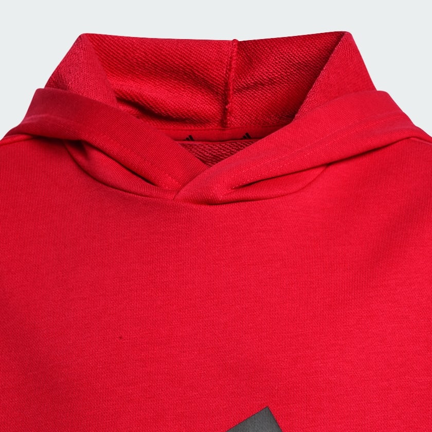 Rojo Polera con capucha Essentials (Niños)