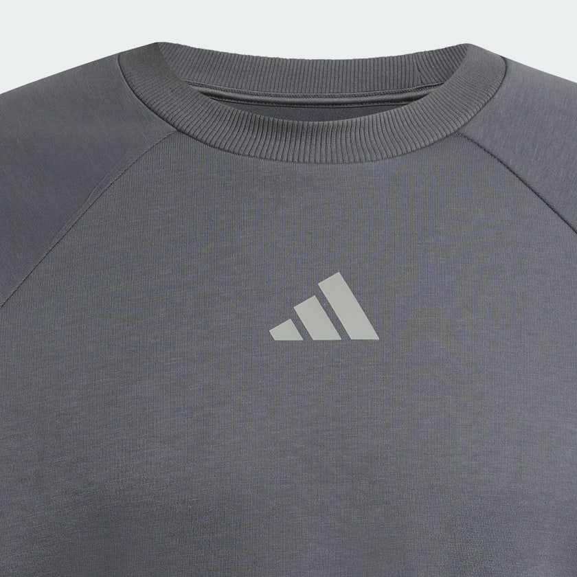 Gris Buzo STADIUM de cuello redondo