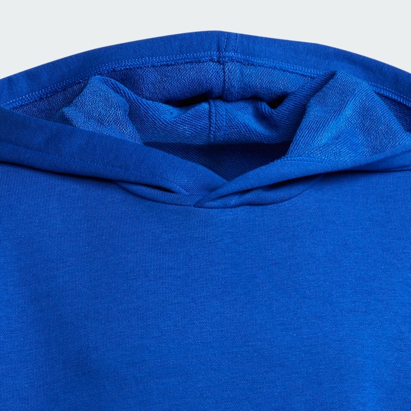 Bleu Sweat-shirt à capuche Essentials Enfants