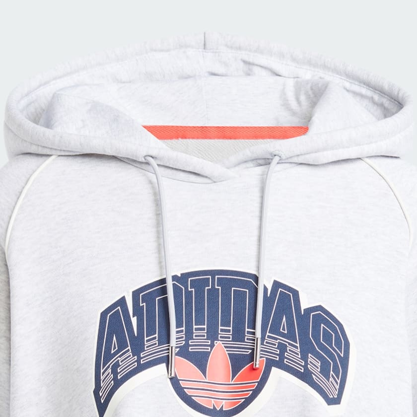 Cinza Moletom Capuz Cropped