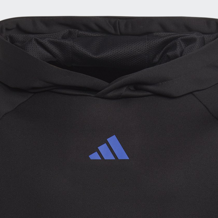 Schwarz Train Icons AEROREADY 3-Streifen Hoodie