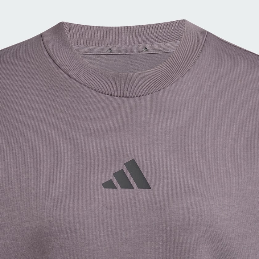 Grey Future Icons 3-Stripes Sweatshirt