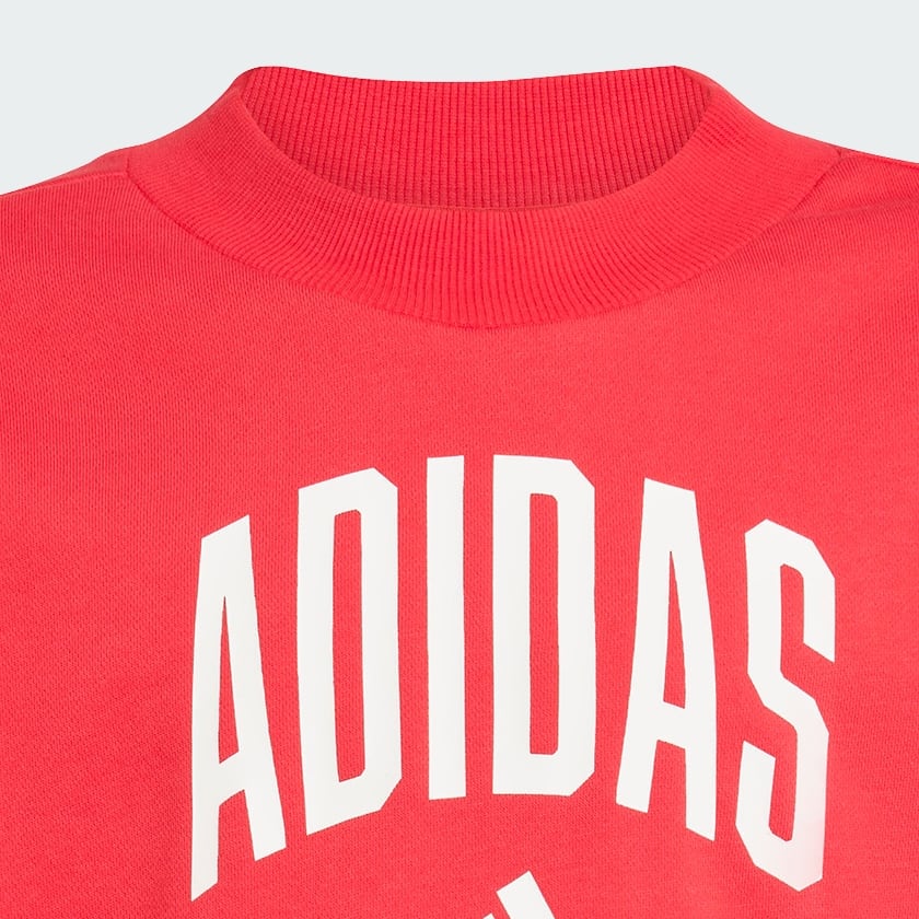 Rojo Buzo Seasonals Essentials Tipografía Retro Cuello Redondo para Niños