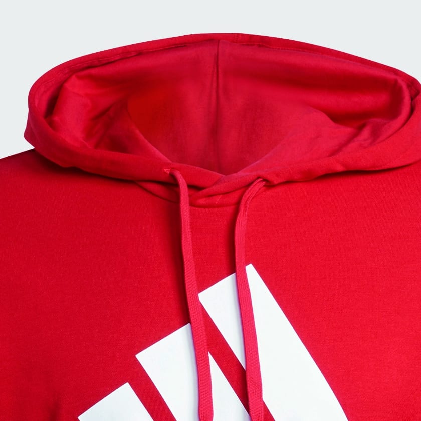 Essentials Big Logo Hoodie