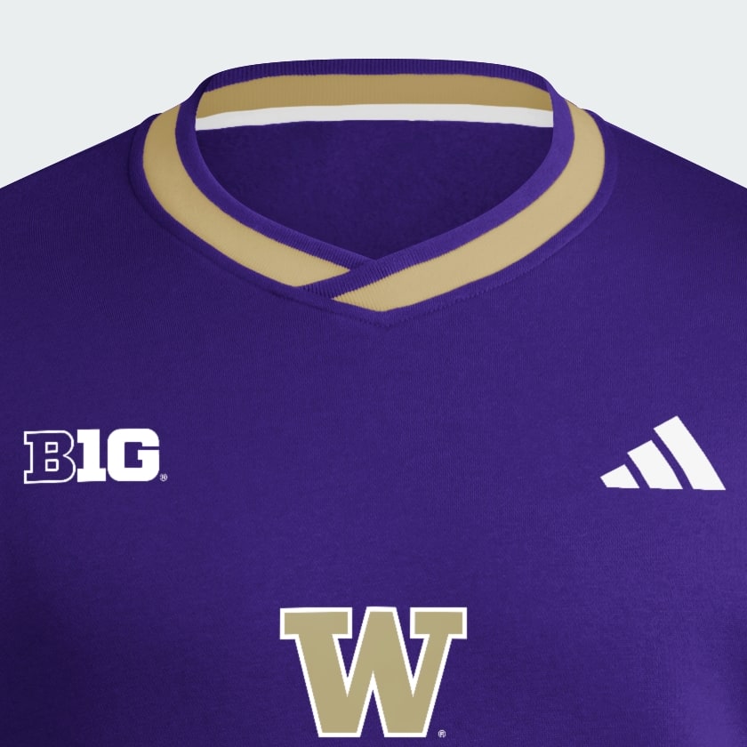 Purple Washington Crew Top