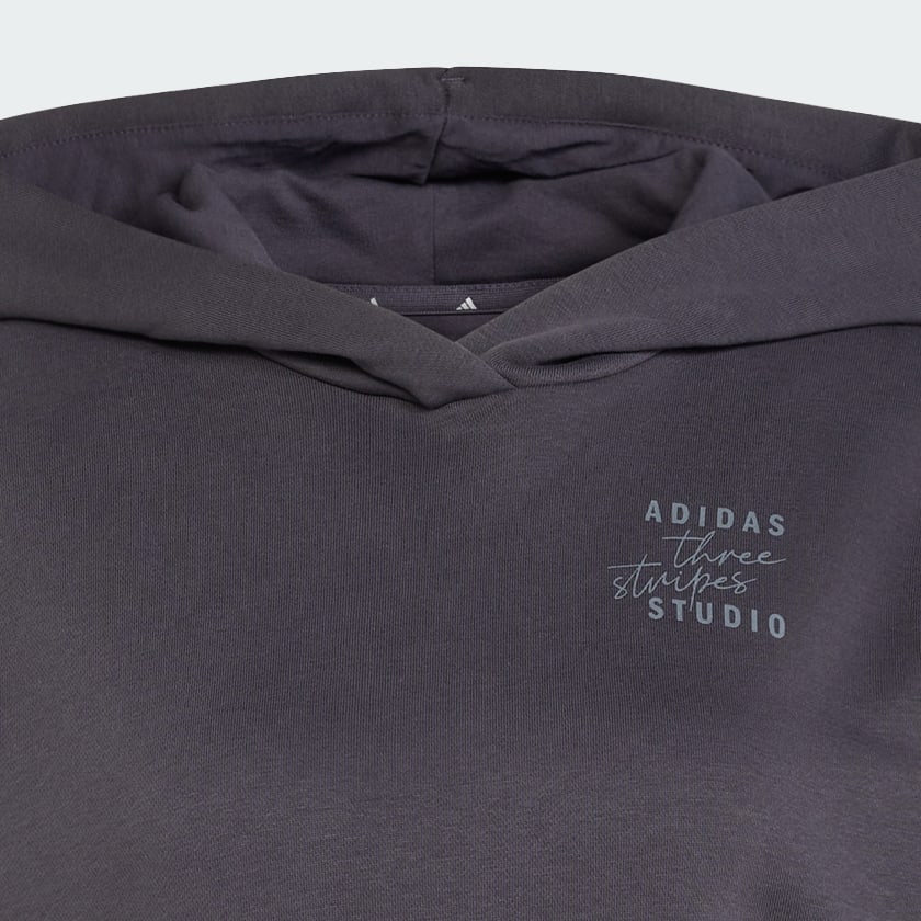 Grijs 3-Stripes Studio Hoodie