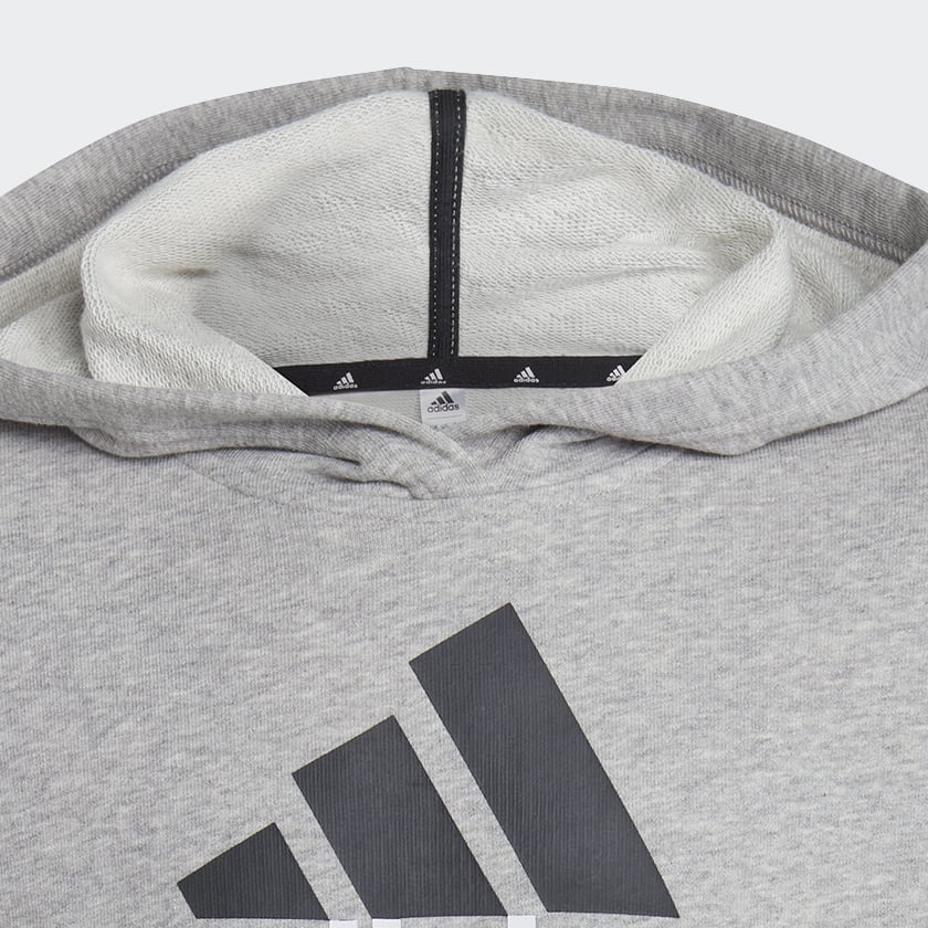 Gris Buzo con Capucha Essentials Two-Colored Big Logo Cotton