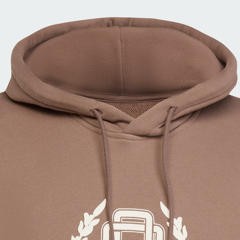 Brown Collegiate Loose Hoodie