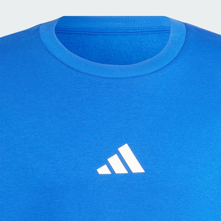 Blu Felpa ALL SZN Fleece Graphic