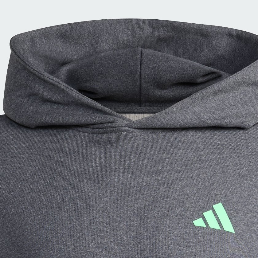 Γκρι MERCEDES - AMG PETRONAS FORMULA ONE TEAM PREMIUM SWEAT HOOD