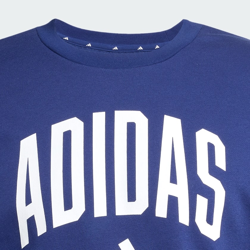 blauw Collegiate Sweatshirt