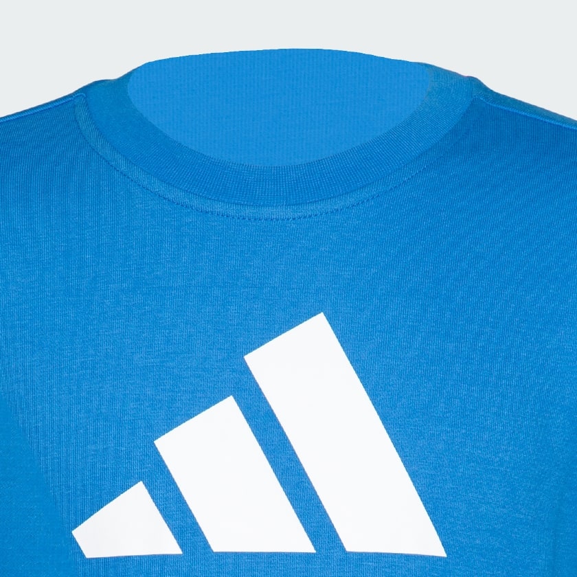 Blue Full Sleeve Sweatshirt