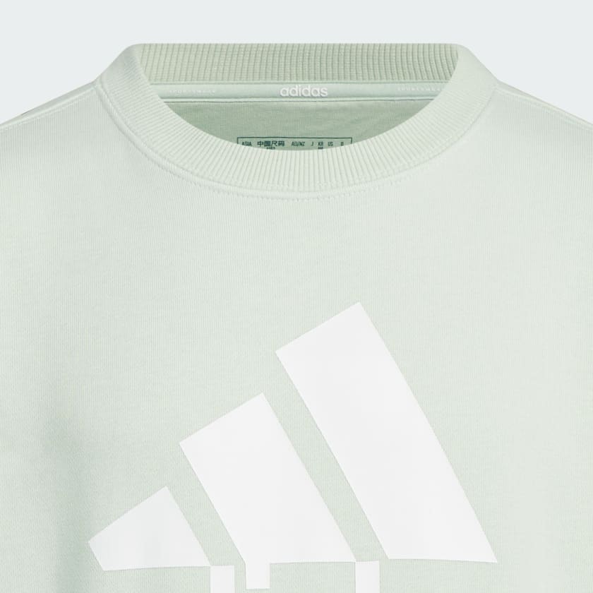 グリーン キッズ エッセンシャルズ プラス ルーズフィット ビッグロゴ フレンチテリー スウェットシャツ 