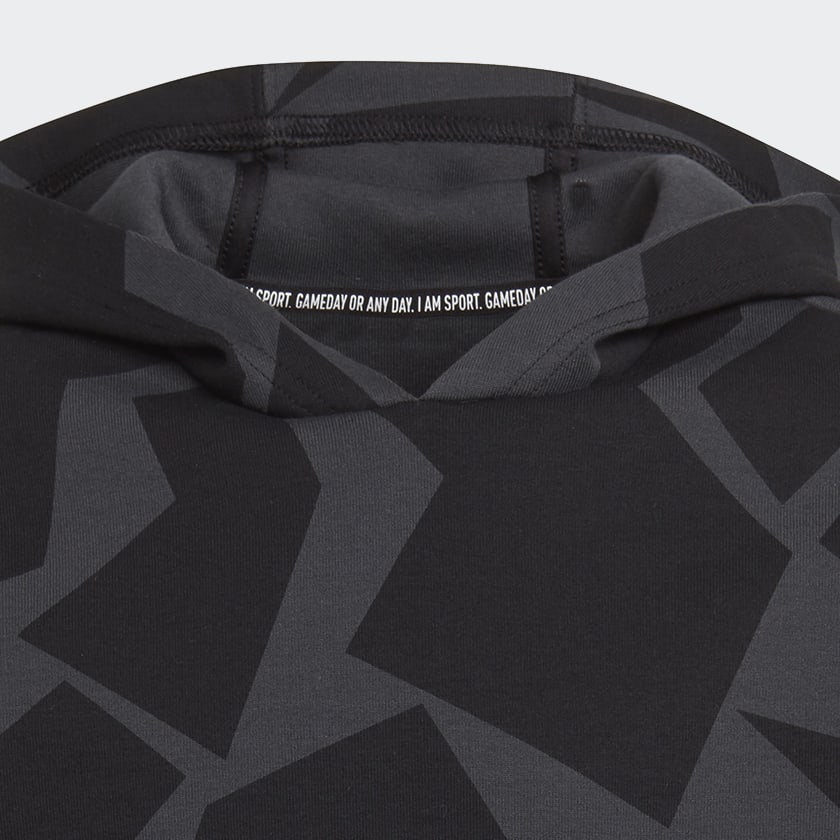 grijs Future Icons 3-Stripes Graphic Hoodie