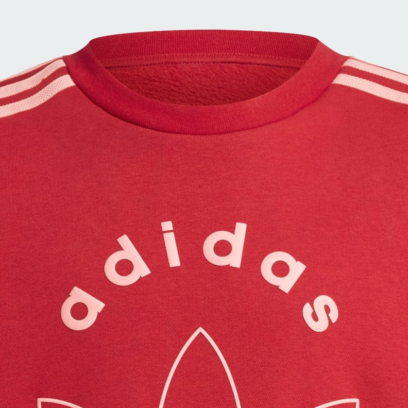Burgundy Graphic Crew Sweatshirt Kids