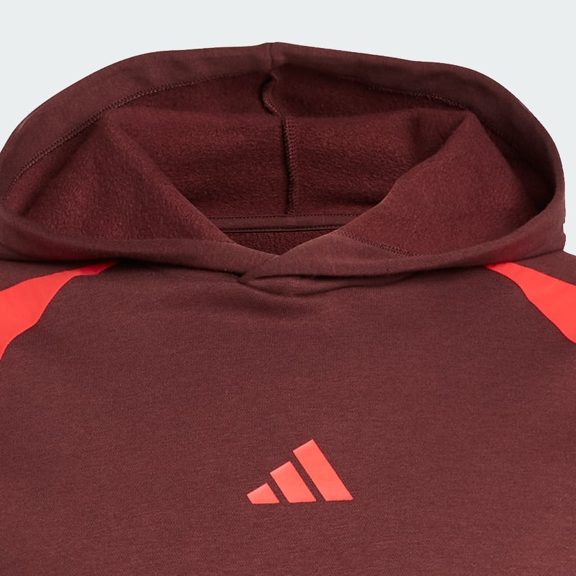 Burgundy Seasonal Essentials Colorblock Hoodie