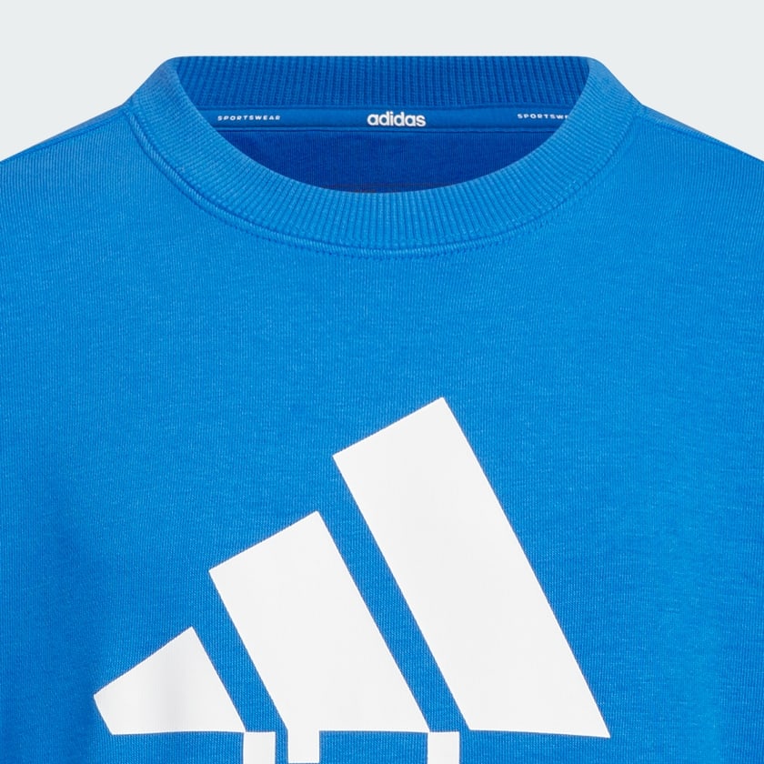 ブルー キッズ エッセンシャルズ プラス ルーズフィット ビッグロゴ フレンチテリー スウェットシャツ 