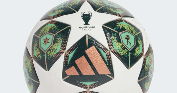 UEFA_Champions_League_Competit