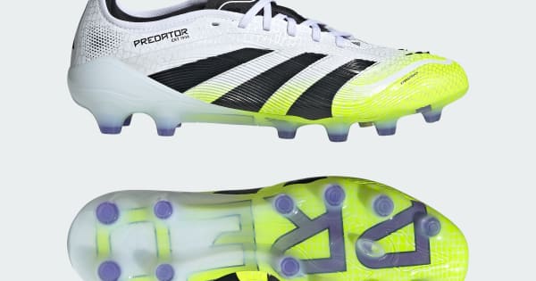 HG-AG_-_-_Predator_Pro_HG-