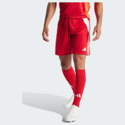 Product colour: Team Power Red 2 / White