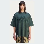 Colour: Shadow Green