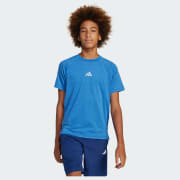 Color del artículo: Bright Cyan / Royal Blue / Reflective Silver