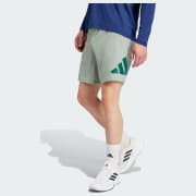 Color del artículo: Silver Green / Collegiate Green