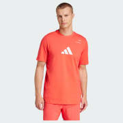 Colour: Semi Lucid Red