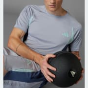 Product color: Halo Silver