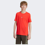 Kód barvy: Bright Red / Reflective Silver