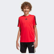 Cor do artigo: Pure Ruby / Black