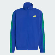 Cor do artigo: Bold Blue / Bold Green / Bold Green / Bold Green