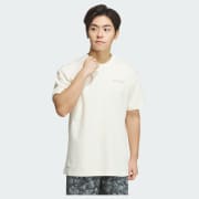 Colour: Ivory