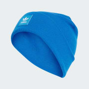 Cor do artigo: Blue Bird