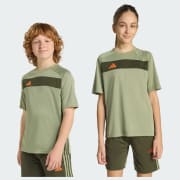 Color del artículo: Tent Green / Night Cargo / Impact Orange